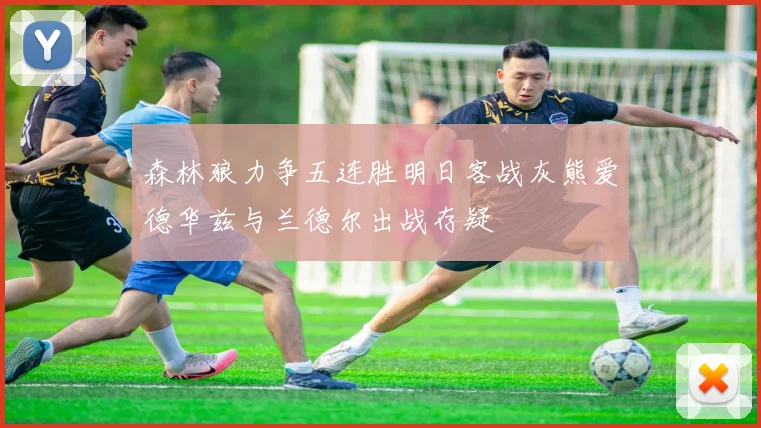 森林狼力争五连胜明日客战灰熊爱德华兹与兰德尔出战存疑