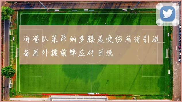 海港队莱昂纳多膝盖受伤或将引进备用外援前锋应对困境